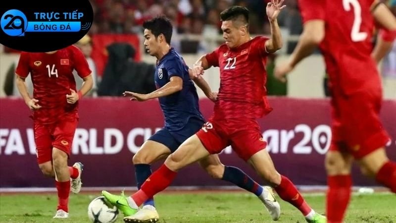 Sự đa dạng trong lựa chọn